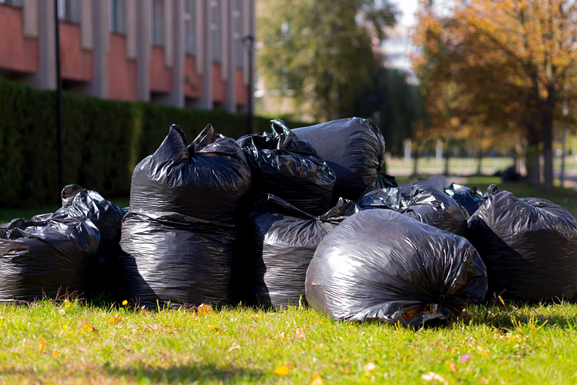 Rubbish Removal